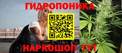 спайс Кинель